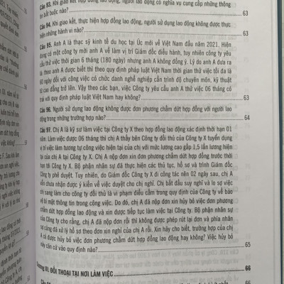 500 Câu Hỏi Và Tình Huống Giải Quyết Các Vướng Mắc, Tranh Chấp Lao Động Theo Bộ Luật Lao Động Năm 2019