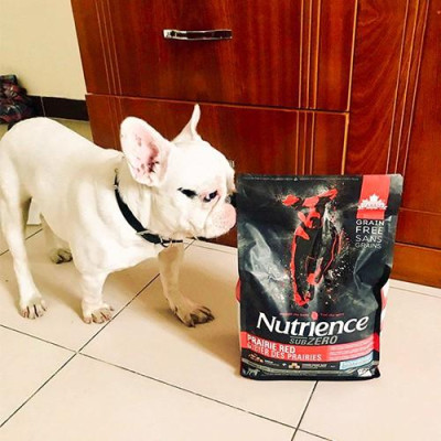 Thức Ăn Hạt Cho Chó Phốc Sóc - Nutrience Subzero Bao 2,27kg - 6 Loại Thịt (Bò, Cừu, Cá Hồi,...) Rau Củ, Trái Cây