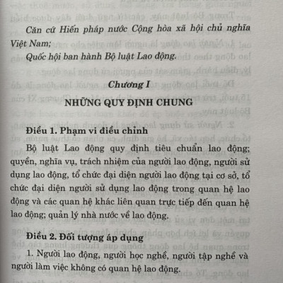 Bộ Luật Lao Động Năm 2019 Và Văn Bản Hướng Dẫn Thi Hành