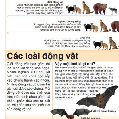 Tri Thức Trong Lòng Bàn Tay - Bách Khoa Thiếu Nhi - Động Vật (Bìa Cứng) (Tái Bản 2022)