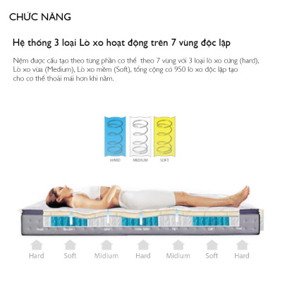 Nệm Swing 1.2m Jang In 1301600001-03