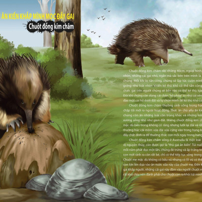 Khám Phá Thế Giới Động Vật Kì Thú: Thế Giới Của Các Loài Vật Kì Quái (Tái Bản 2021)