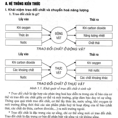 Bồi Dưỡng Học Sinh Giỏi Sinh Học 7 (Dùng Chung Cho Các Bộ SGK Hiện Hành) - HA