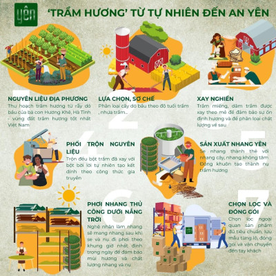 Nụ Trầm Hương Yên Loại Thân Sạch Tự Nhiên Ít Khói An Toàn Dùng Thiền Thờ Cúng Thư Giãn