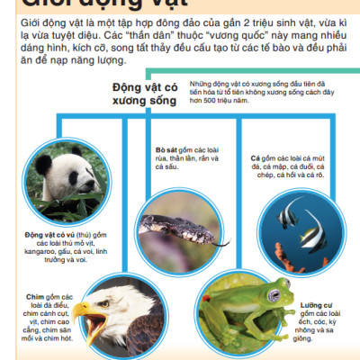 Tri Thức Trong Lòng Bàn Tay - Bách Khoa Thiếu Nhi - Động Vật (Bìa Cứng) (Tái Bản 2022)