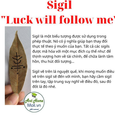 Nhang thần Ganesha cầu hạnh phúc và thành công