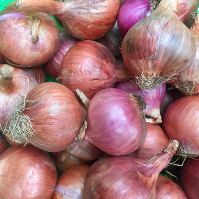 Hành tím khô Ấn Độ - Dori Thơm - 1kg - Hành tím củ to tròn khô. Xuất xứ Ấn Độ, củ rất to, tròn, hơi hăng và cay.