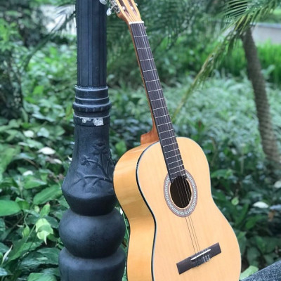 Đàn guitar classic Rex HGW195 dễ chơi- Hàng nhập khẩu