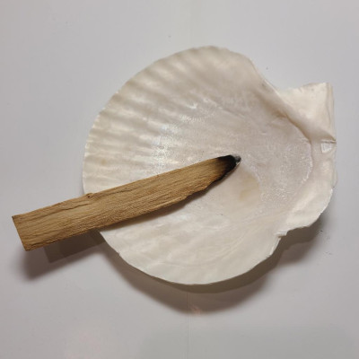 Combo 5 thanh gỗ palo santo - Gỗ thánh - Gỗ thanh tẩy Tổng 25gr Tặng đĩa sò