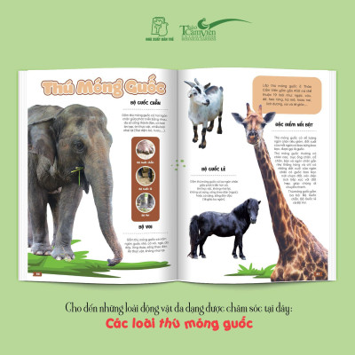 (Bìa cứng) THẢO CẦM VIÊN SÀI GÒN - Kho Báu Trong Lòng Thành Phố