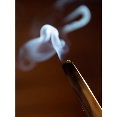 Combo 5 thanh gỗ palo santo - Gỗ thánh - Gỗ thanh tẩy Tổng 25gr Tặng đĩa sò