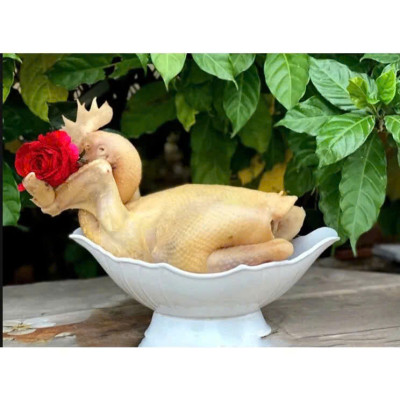 Bát dĩa thuyền  đựng gà cúng nguyên con, đựng hoa quả bằng nhựa sang trọng và đẹp