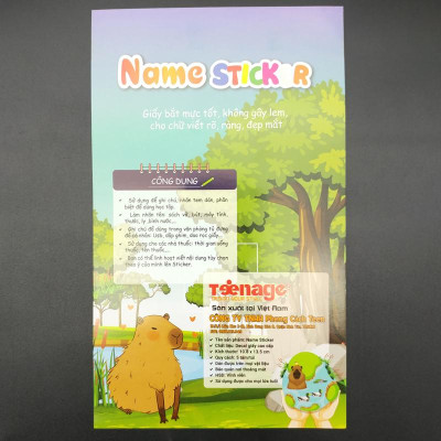 Bộ 5 Tờ Sticker Name - Teenage SN-02 - Capybara
