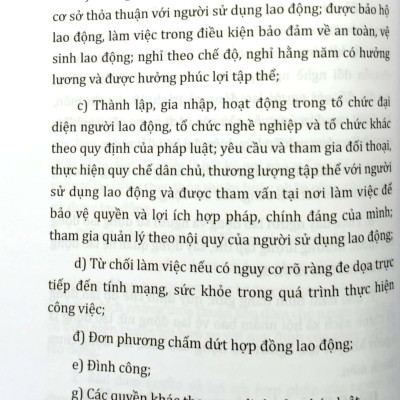 Bộ Luật Lao Động Của Nước Cộng Hòa Xã Hội Chủ Nghĩa Việt Nam (Áp Dụng Từ Ngày 01-01-2021)