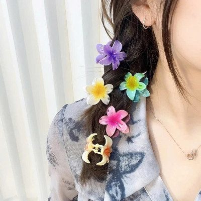 COMBO 2 Kẹp tóc hoa sứ mini 4cm