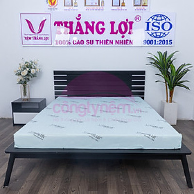 Nệm cao su hoạt tính TL Tundo 