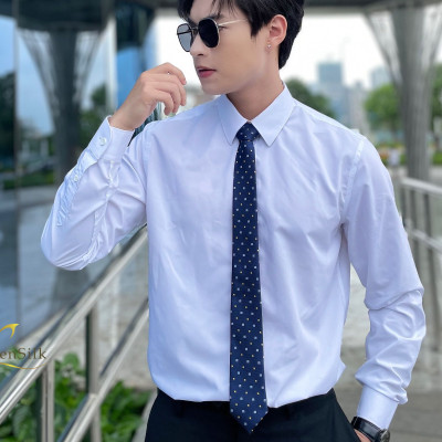 Cà Vạt Cao Cấp Cho Nam SenSilk CAVATS04 – Silk Caravat, Quà Tặng Sếp Nam