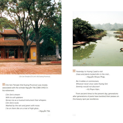 Vietnamese Art - Bìa Cứng