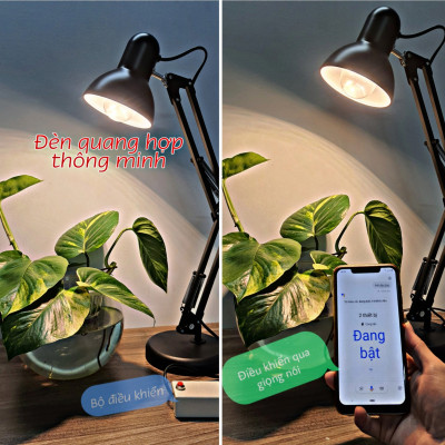 Đèn quang hợp, đèn trồng cây trong nhà 9W, chiếu sáng quang hợp cho cây xanh, trầu bà, lan chi, lộc phát, sen đá, Chính hãng Rạng Đông