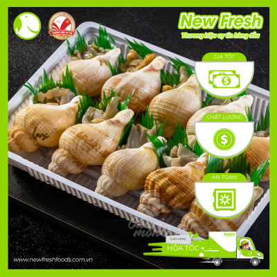 [GIAO NHANH HCM] Ốc Bulot Pháp Đông Lạnh - Túi 1Kg