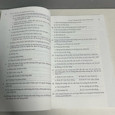 Sách - Câu Hỏi - Bài Tập - Trắc Nghiệm Kinh Tế Vi Mô (Trường ĐH Kinh Tế TP. Hồ Chí Minh)