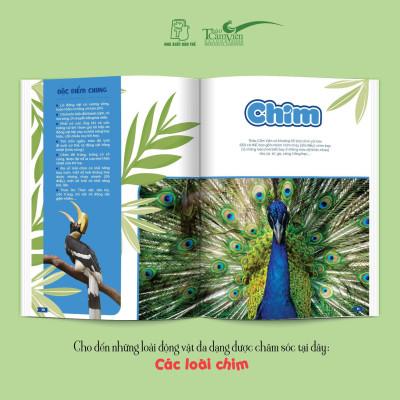 THẢO CẦM VIÊN SÀI GÒN - Kho Báu Trong Lòng Thành Phố (bìa mềm)