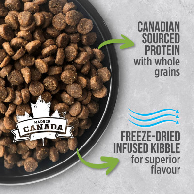 Thức Ăn Cho Mèo Con Nutrience Infusion Bao 500g Vị Thịt Gà Tây Rau Củ Trái Cây Tự Nhiên Giúp  Phát Triển Trí Não Hệ Tiêu Hoá