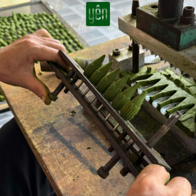 Nụ Khuynh Diệp Sạch Ít Khói Hộp 40 Nụ Yên Tự Nhiên Không Hóa Chất Thờ Cúng Thư Giãn Xông Nhà Tẩy Uế