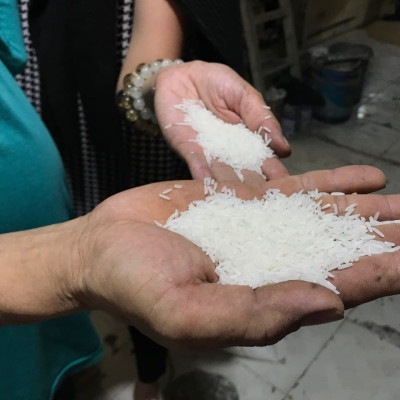 Gạo Đặc Sản Tây Nguyên