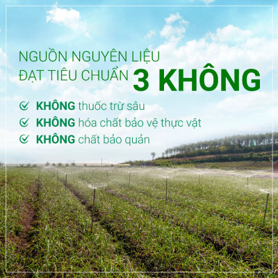 Tỏi Kim Cương Đông Á - Combo 3 hộp tỏi đen cô đơn 300G - SX theo công nghệ Nhật Bản, hỗ trợ tốt cho sức khỏe - Kiểm nghiệm chất lượng bởi Bộ Y Tế, Intertek -