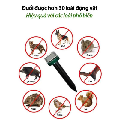 Bảo Vệ Hiệu Quả với Máy Đuổi Chuột Năng Lượng Mặt Trời Hàng Cao Cấp