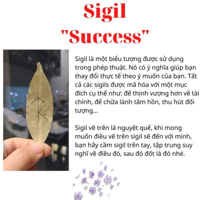 Bó xô thanh tẩy và bảo vệ (bạch đàn mix xô thơm trắng)