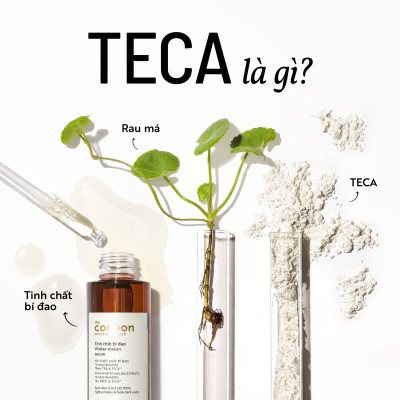 Tinh chất bí đao cocoon 70ml (serum Winter melon)