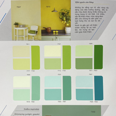 Sơn phào chỉ trong và ngoài nhà Toa 4 Seasons Tropic Shield màu xanh B- 7592_1L