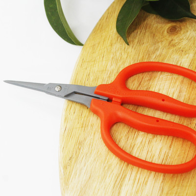 Kéo cắt nho cao cấp Nhật Bản Chikamasa B-500SLF