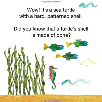 Sách ngoại văn: Mister Seahorse