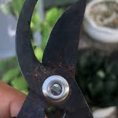 Kéo chuyên dụng cắt tỉa cây cảnh ( Cắt/tỉa cành lá bị hư hỏng ) nhỏ gọn dễ dùng  - Hàng nội địa Nhật Bản. ( Giao màu ngẫu nhiên )