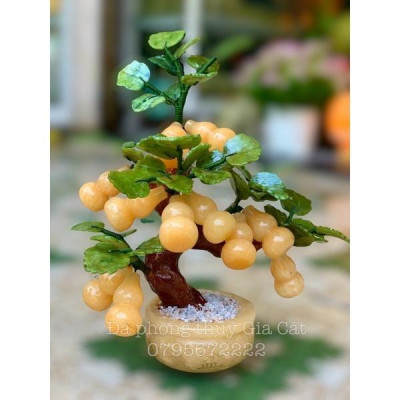 cây hồ lô đá ngọc hoàng long phong thuỷ