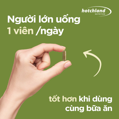 Viên uống Ginkgo Biloba hỗ trợ tăng cường tuần hoàn máu não, bổ não Hotchland Mega Brain TPBVSK-Hàng chính hãng [Hộp 60 viên]-HL0115