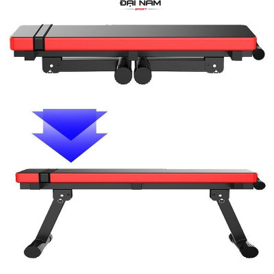 Ghế Băng Tập Tạ,Ghế Vớt Tạ Gấp Gọn AC-5001 Chịu Tải 200kg Chính Hãng Đại Nam Sport
