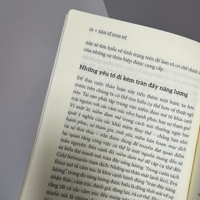 BÀN VỀ ĐAM MÊ - Renyi Hong - Khánh Trang dịch - Thái Hà Books - Nhà xuất bản Công Thương