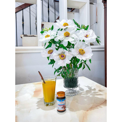 Curcumin Tâm An 30gr Hỗ trợ hệ tiêu hóa, Tăng cường sức đề kháng, Giúp giảm viêm nhiễm và hỗ trợ phục hồi sức khỏe