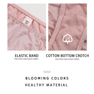 Quần Lót Nữ Lọt Khe Thun Lạnh Dây Khóa Chữ V 1908 – Siêu Mát, Gợi Cảm, Phối Kim Loại Sang Trọng