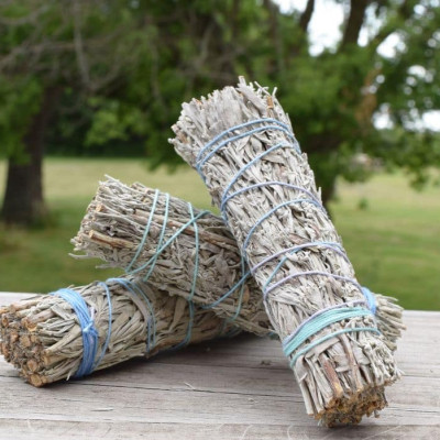 Bó lá xô thơm xanh - Blue sage - xông nhà mang may mắn và tài lộc