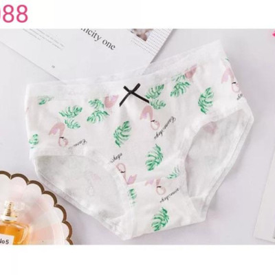 Combo 5 Quần Lót Nữ Cotton Dễ Thương 088 – Mềm Mại, Thấm Hút, Co Giãn