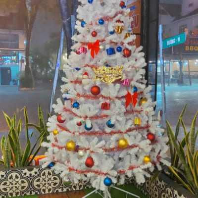 Cây thông noel màu trắng 2m4 - Tán dày và đẹp, cây thông chắc chắn và dể tháo lắp