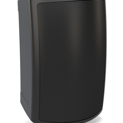 Loa Treo Tường TANNOY AMS 6ICT -- 6" công suất 60 -240 Watts-Hàng Chính Hãng 