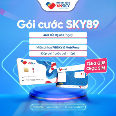 FREESHIP - CHƯA KÍCH HOẠT. Sim VNSKy89C 90GB/ THÁNG 500p gọi nội mạng có sẵn tháng đầu tiên. Hàng chính hãng