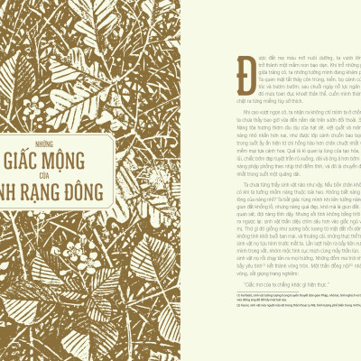 Sách - Cổ Tích Dưới Bóng Sồi Ngàn Tuổi