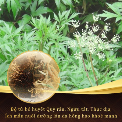 Bộ đôi kết hợp giảm nám Sắc Ngọc Khang Viên uống vi tảo lục hộp 60v + Kem dưỡng 10g